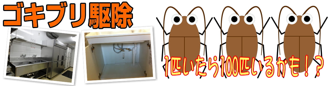 豊島区の店舗厨房でゴキブリ駆除を行いました。